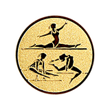 Gymnastik (damer) emblem (D2)