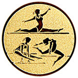 Gymnastik (damer) emblem (D2)