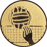 Volleyball emblem (I8)