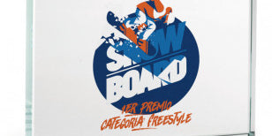 Crystal plakette med farveprint