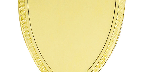 Medalje "Kampskjold" 50x55 mm.