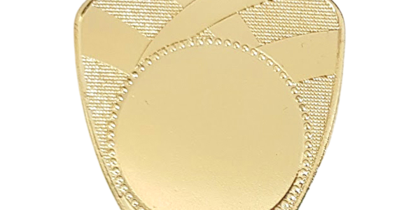 Medalje "Mesterskjold" 55x39 mm.