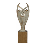 Victory Award "Sejren", Teamspirit og sammenhold